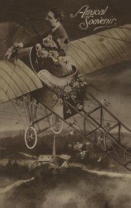 Avion rempli de fleurs